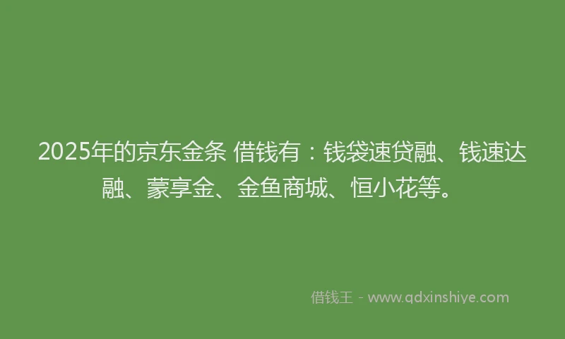 2025年的京东金条 借钱有：钱袋速贷融、钱速达融、蒙享金、金鱼商城、恒小花等。