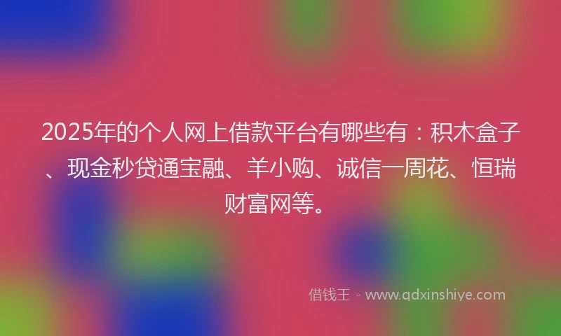 2025年的个人网上借款平台有哪些有：积木盒子、现金秒贷通宝融、羊小购、诚信一周花、恒瑞财富网等。