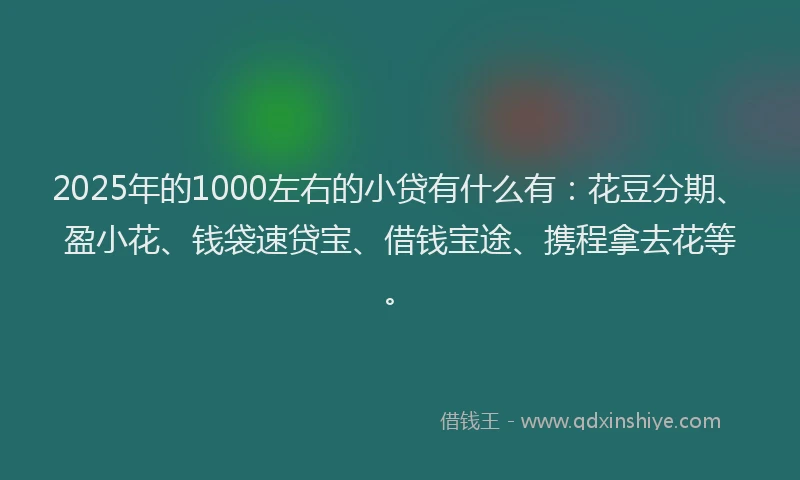 2025年的1000左右的小贷有什么有：花豆分期、盈小花、钱袋速贷宝、借钱宝途、携程拿去花等。