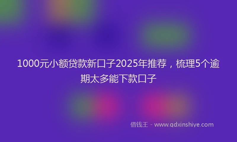 1000元小额贷款新口子2025年推荐，梳理5个逾期太多能下款口子