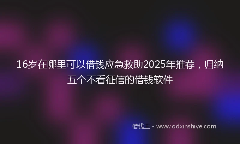 16岁在哪里可以借钱应急救助2025年推荐，归纳五个不看征信的借钱软件