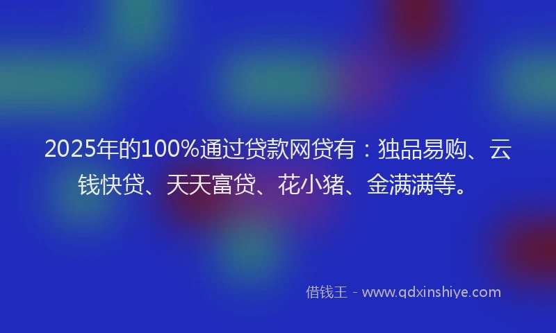 2025年的100%通过贷款网贷有：独品易购、云钱快贷、天天富贷、花小猪、金满满等。