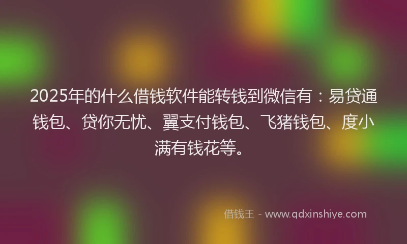 2025年的什么借钱软件能转钱到微信有：易贷通钱包、贷你无忧、翼支付钱包、飞猪钱包、度小满有钱花等。