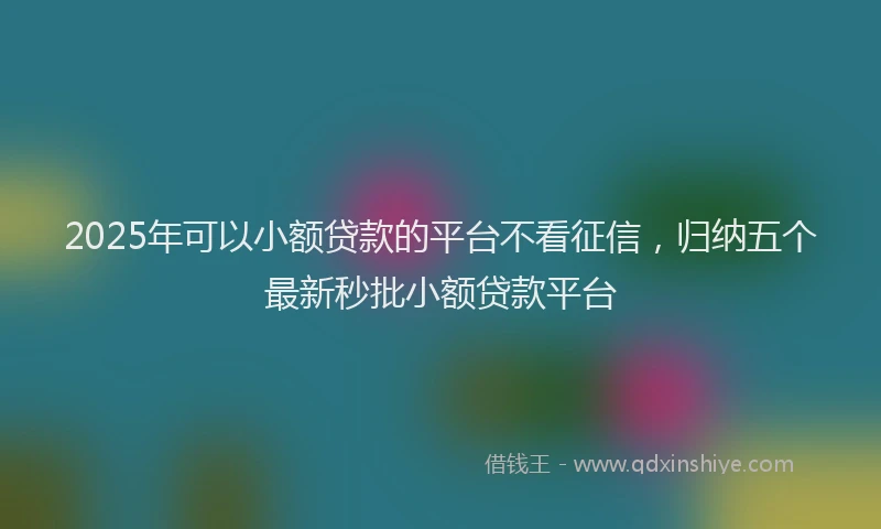 2025年可以小额贷款的平台不看征信，归纳五个最新秒批小额贷款平台