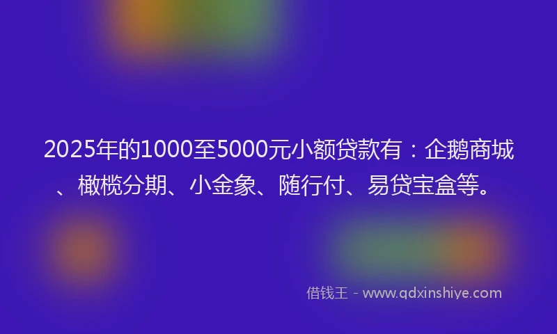 2025年的1000至5000元小额贷款有：企鹅商城、橄榄分期、小金象、随行付、易贷宝盒等。