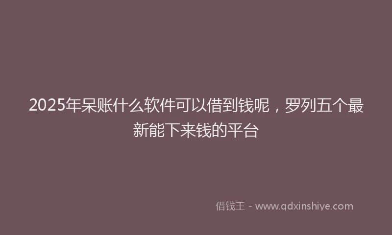 2025年呆账什么软件可以借到钱呢，罗列五个最新能下来钱的平台