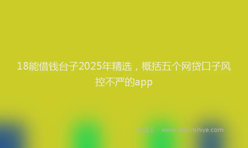 18能借钱台子2025年精选，概括五个网贷口子风控不严的app