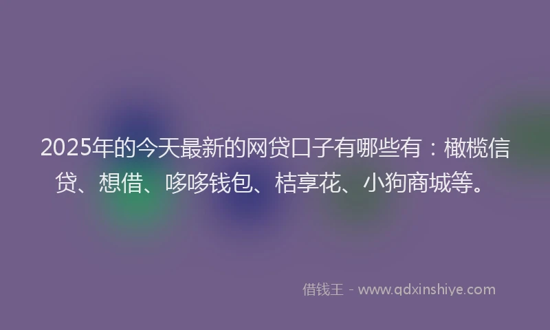 2025年的今天最新的网贷口子有哪些有：橄榄信贷、想借、哆哆钱包、桔享花、小狗商城等。