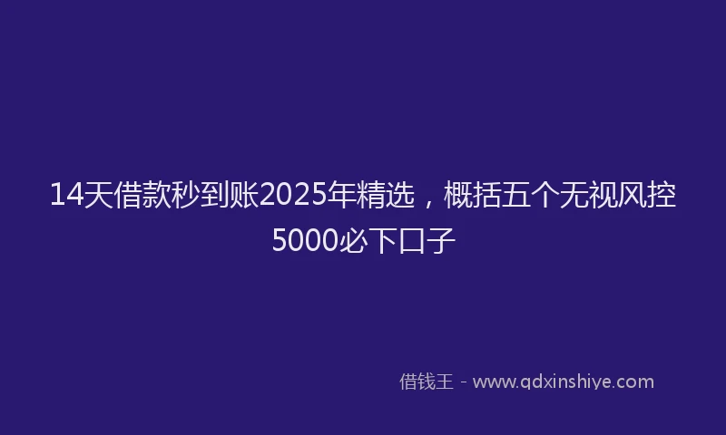 14天借款秒到账2025年精选，概括五个无视风控5000必下口子