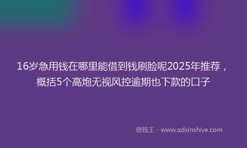 16岁急用钱在哪里能借到钱刷脸呢2025年推荐，概括5个高炮无视风控逾期也下款的口子