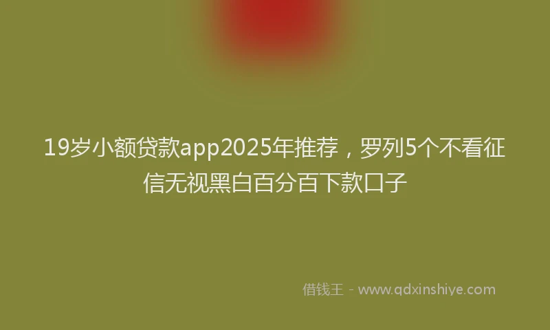 19岁小额贷款app2025年推荐，罗列5个不看征信无视黑白百分百下款口子