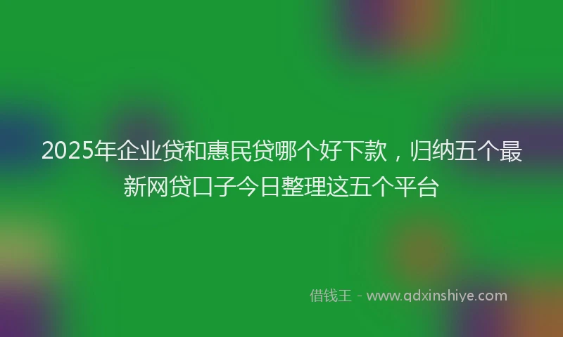 2025年企业贷和惠民贷哪个好下款，归纳五个最新网贷口子今日整理这五个平台