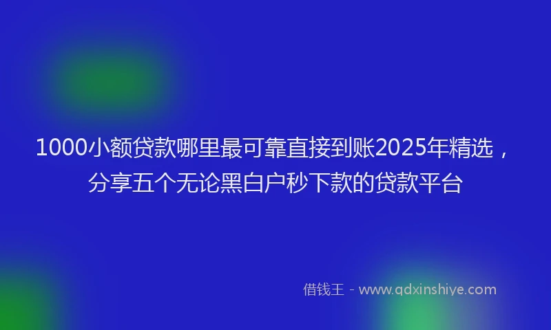 1000小额贷款哪里最可靠直接到账2025年精选，分享五个无论黑白户秒下款的贷款平台