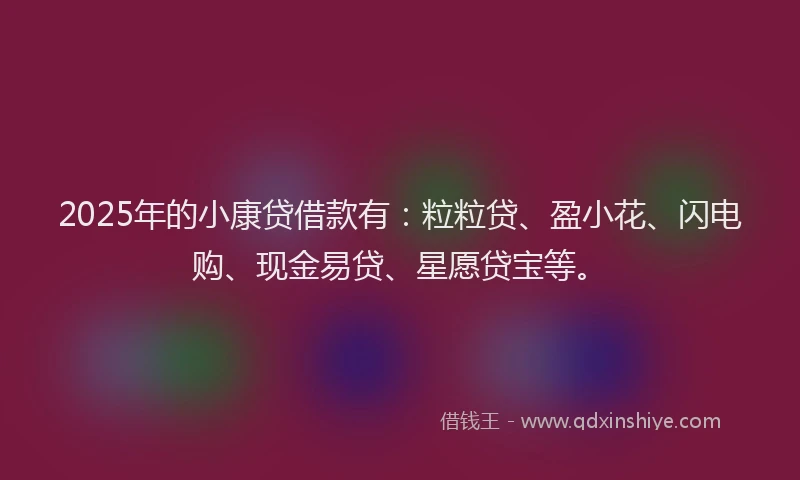 2025年的小康贷借款有：粒粒贷、盈小花、闪电购、现金易贷、星愿贷宝等。