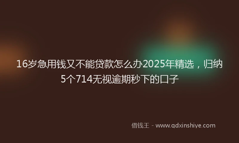 16岁急用钱又不能贷款怎么办2025年精选，归纳5个714无视逾期秒下的口子