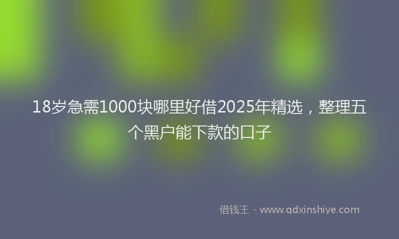 18岁急需1000块哪里好借2025年精选，整理五个黑户能下款的口子