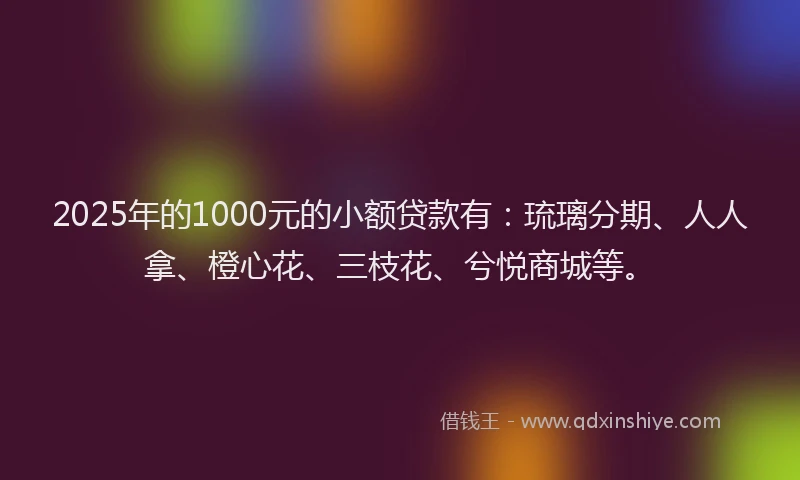 2025年的1000元的小额贷款有：琉璃分期、人人拿、橙心花、三枝花、兮悦商城等。