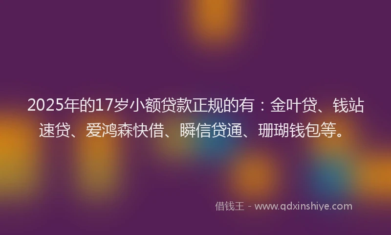 2025年的17岁小额贷款正规的有：金叶贷、钱站速贷、爱鸿森快借、瞬信贷通、珊瑚钱包等。