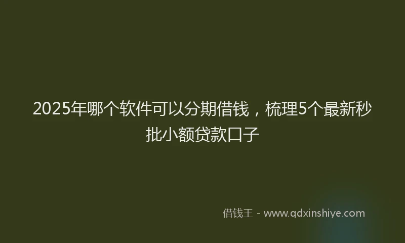 2025年哪个软件可以分期借钱，梳理5个最新秒批小额贷款口子
