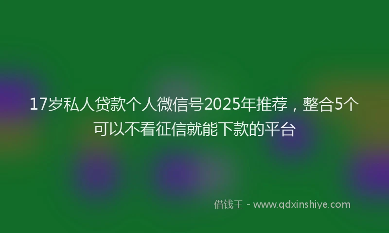 17岁私人贷款个人微信号2025年推荐，整合5个可以不看征信就能下款的平台