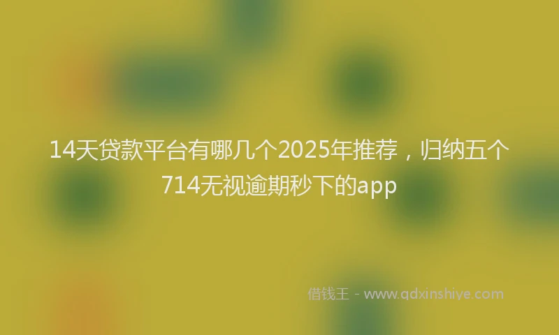 14天贷款平台有哪几个2025年推荐，归纳五个714无视逾期秒下的app