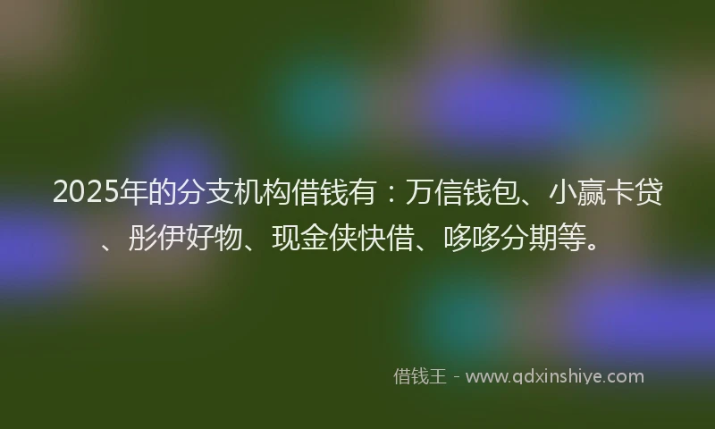 2025年的分支机构借钱有：万信钱包、小赢卡贷、彤伊好物、现金侠快借、哆哆分期等。