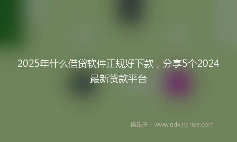 2025年什么借贷软件正规好下款，分享5个2024最新贷款平台