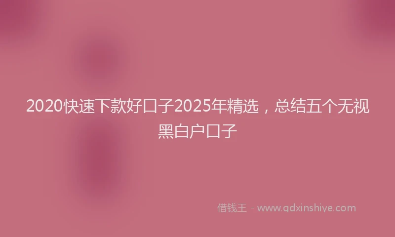 2020快速下款好口子2025年精选，总结五个无视黑白户口子