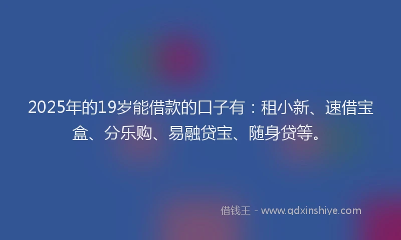 2025年的19岁能借款的口子有：租小新、速借宝盒、分乐购、易融贷宝、随身贷等。