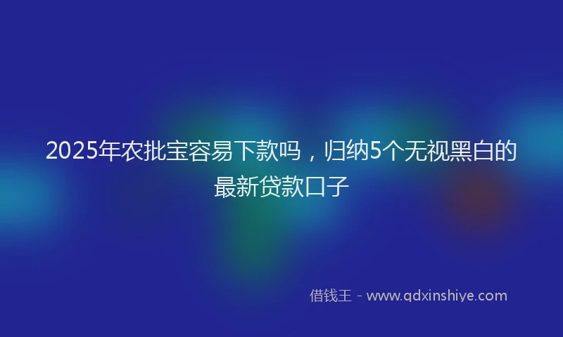 2025年农批宝容易下款吗，归纳5个无视黑白的最新贷款口子