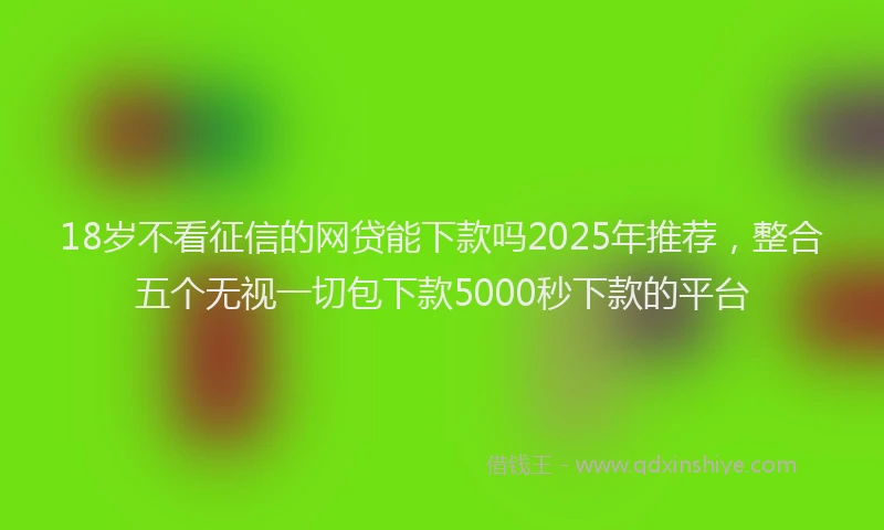 18岁不看征信的网贷能下款吗2025年推荐，整合五个无视一切包下款5000秒下款的平台