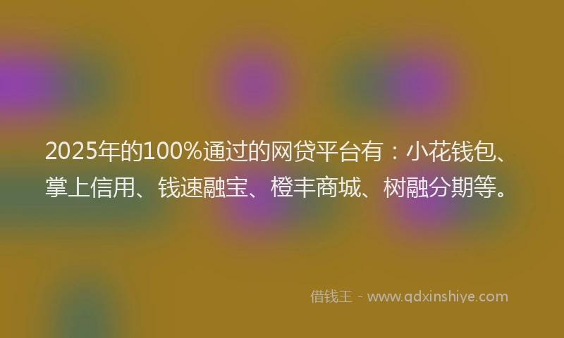 2025年的100%通过的网贷平台有：小花钱包、掌上信用、钱速融宝、橙丰商城、树融分期等。