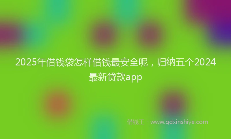 2025年借钱袋怎样借钱最安全呢，归纳五个2024最新贷款app