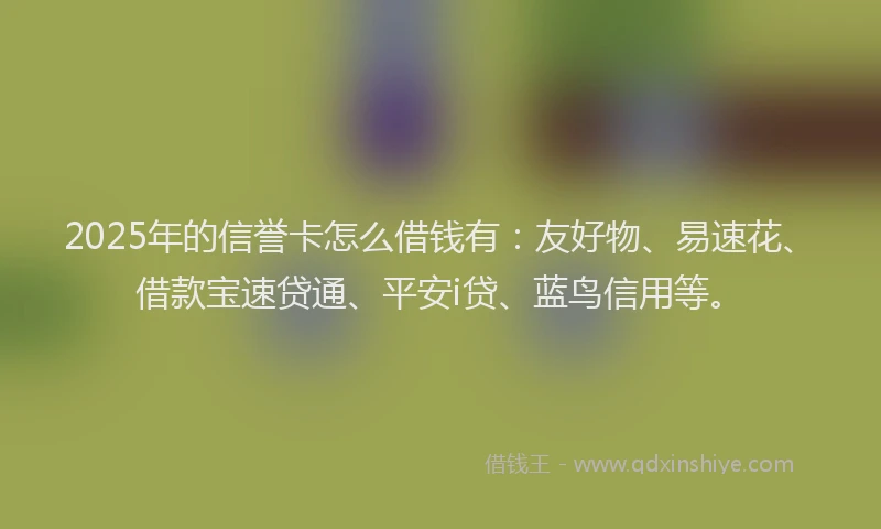 2025年的信誉卡怎么借钱有：友好物、易速花、借款宝速贷通、平安i贷、蓝鸟信用等。