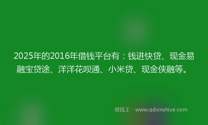 2025年的2016年借钱平台有：钱进快贷、现金易融宝贷途、洋洋花呗通、小米贷、现金侠融等。