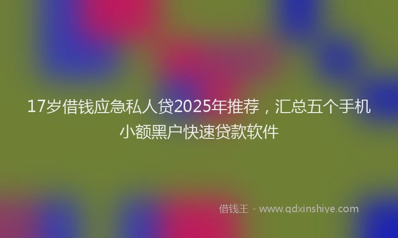 17岁借钱应急私人贷2025年推荐，汇总五个手机小额黑户快速贷款软件