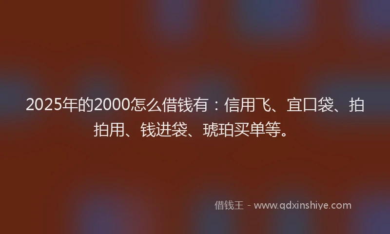 2025年的2000怎么借钱有：信用飞、宜口袋、拍拍用、钱进袋、琥珀买单等。