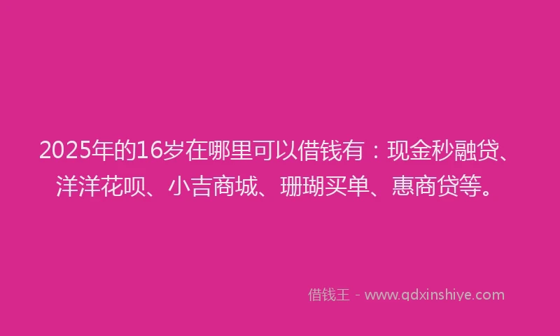 2025年的16岁在哪里可以借钱有：现金秒融贷、洋洋花呗、小吉商城、珊瑚买单、惠商贷等。