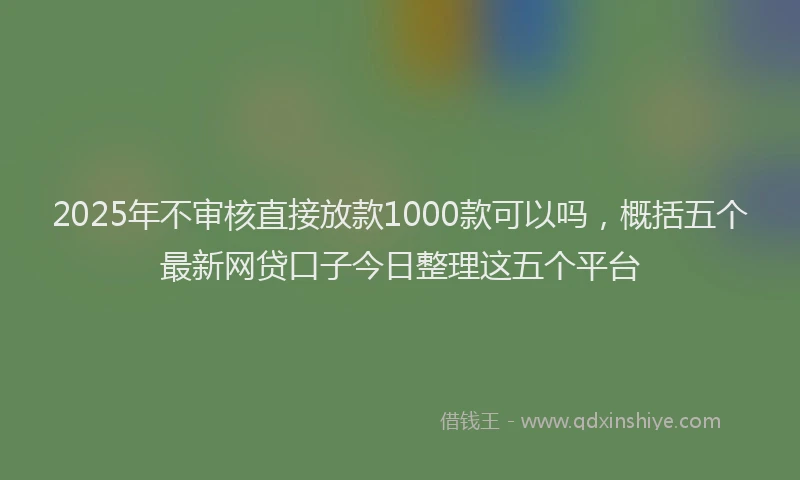 2025年不审核直接放款1000款可以吗，概括五个最新网贷口子今日整理这五个平台