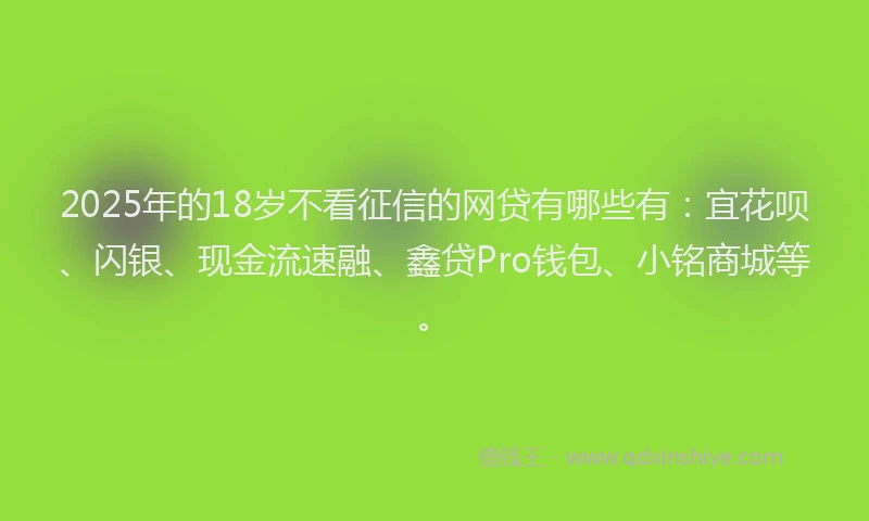 2025年的18岁不看征信的网贷有哪些有：宜花呗、闪银、现金流速融、鑫贷Pro钱包、小铭商城等。