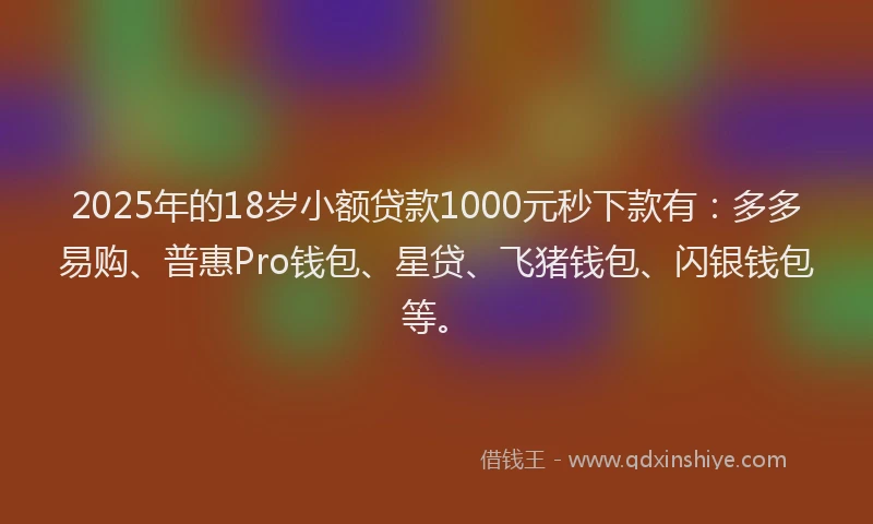 2025年的18岁小额贷款1000元秒下款有：多多易购、普惠Pro钱包、星贷、飞猪钱包、闪银钱包等。