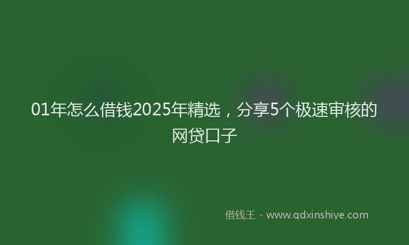 01年怎么借钱2025年精选，分享5个极速审核的网贷口子
