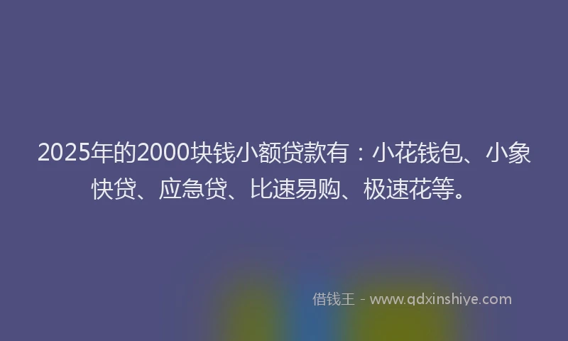 2025年的2000块钱小额贷款有：小花钱包、小象快贷、应急贷、比速易购、极速花等。