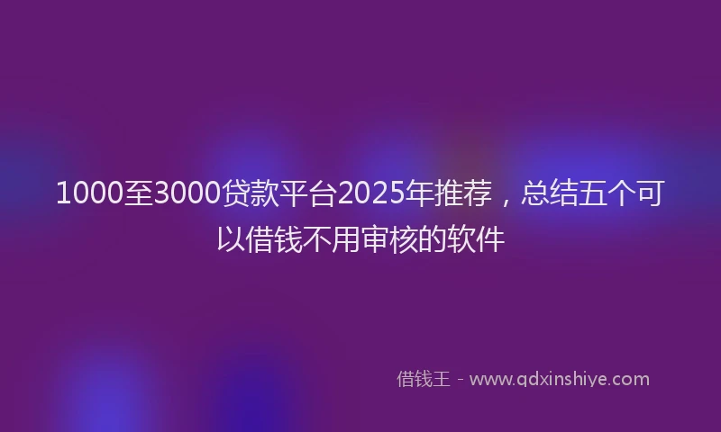 1000至3000贷款平台2025年推荐，总结五个可以借钱不用审核的软件
