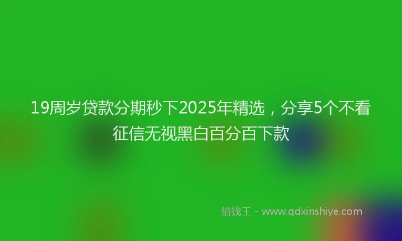 19周岁贷款分期秒下2025年精选，分享5个不看征信无视黑白百分百下款