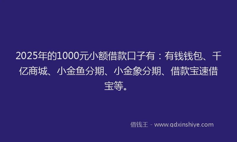 2025年的1000元小额借款口子有：有钱钱包、千亿商城、小金鱼分期、小金象分期、借款宝速借宝等。