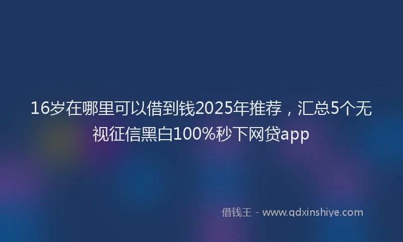 16岁在哪里可以借到钱2025年推荐，汇总5个无视征信黑白100%秒下网贷app