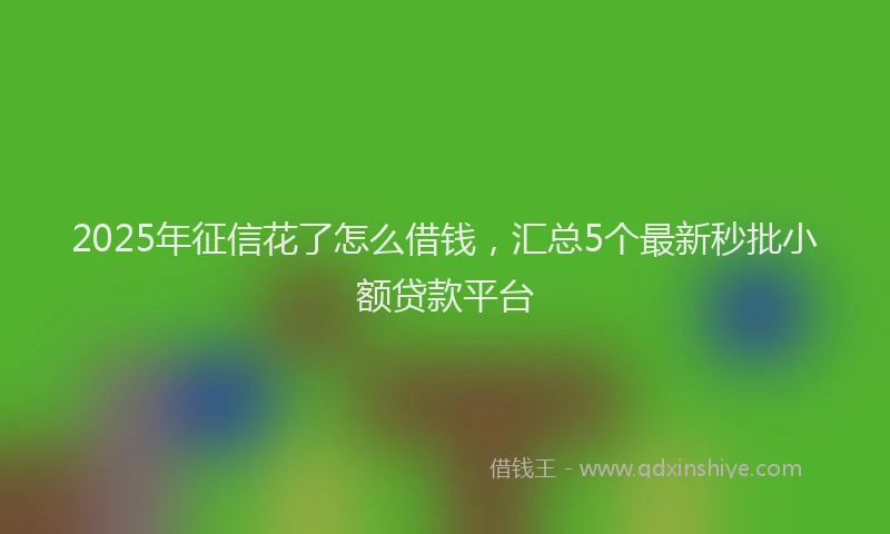 2025年征信花了怎么借钱，汇总5个最新秒批小额贷款平台