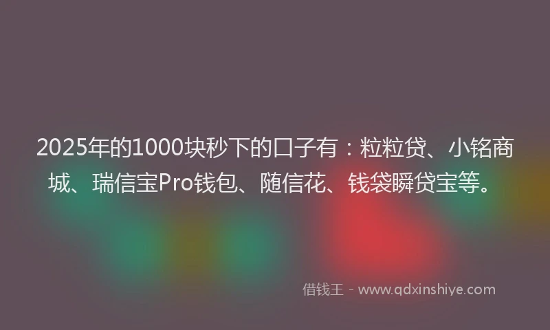 2025年的1000块秒下的口子有：粒粒贷、小铭商城、瑞信宝Pro钱包、随信花、钱袋瞬贷宝等。