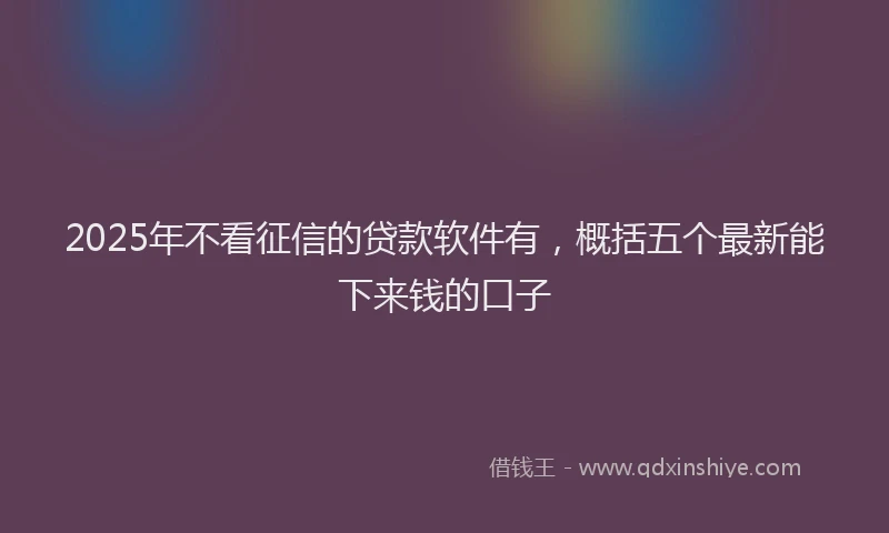 2025年不看征信的贷款软件有，概括五个最新能下来钱的口子